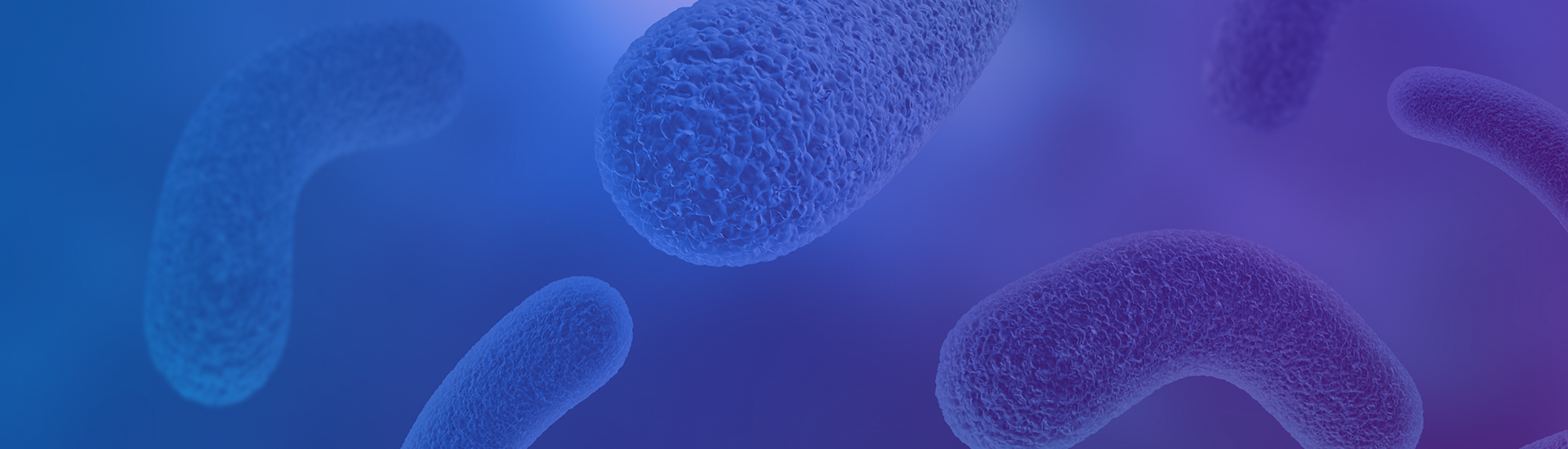 메인 배경이미지2