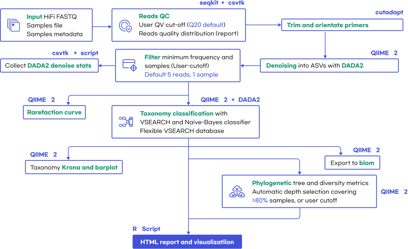 16S Sequencing Analysis