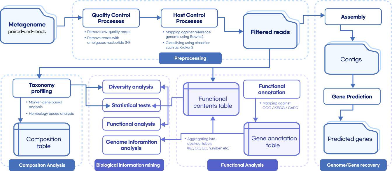 Whole metashotgun sequencing analysis Workflow
