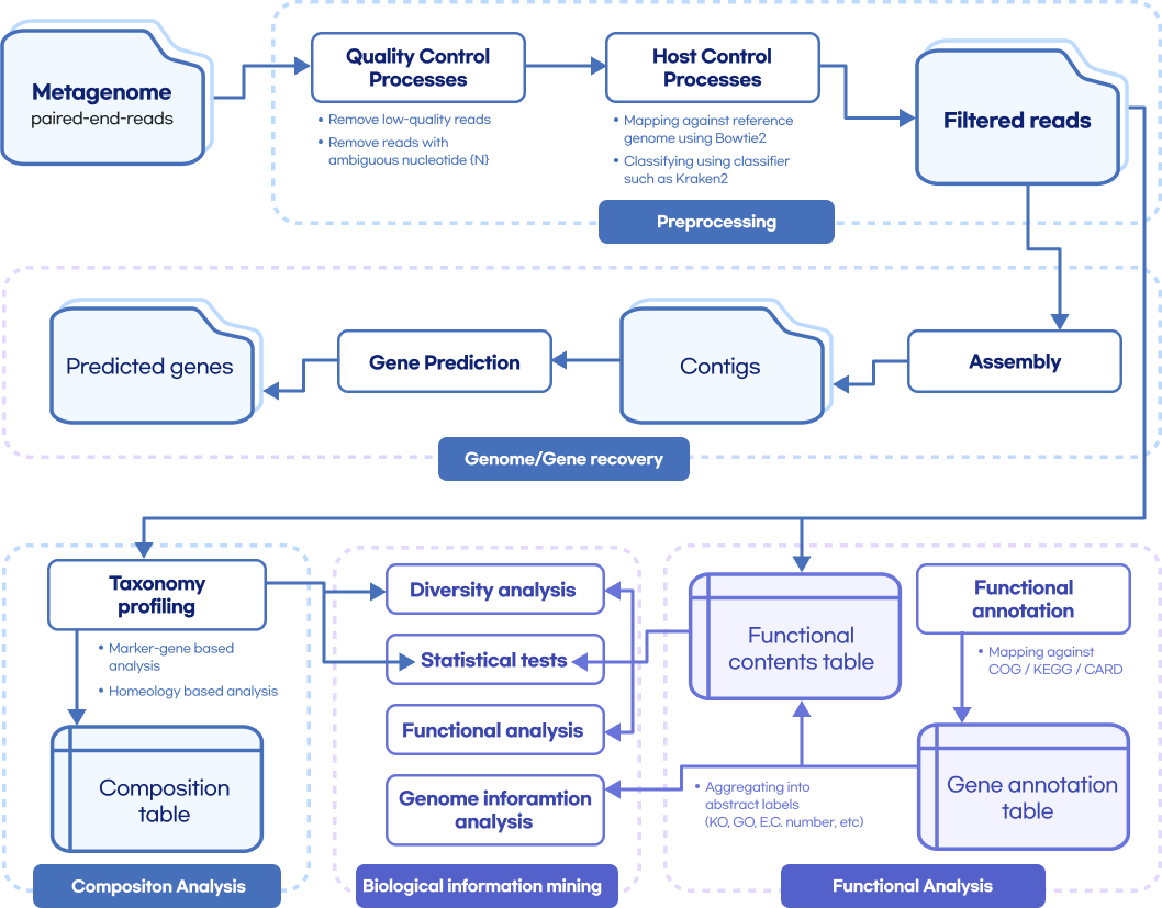 Whole metashotgun sequencing analysis Workflow